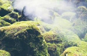 Hot Springs National Park, Arkansas