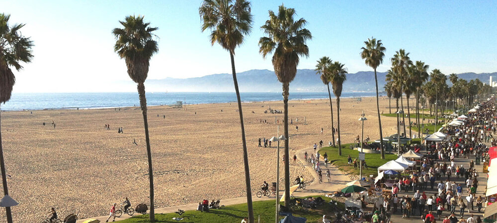 People walking on a boardwalk and lounging on grass, with palm trees