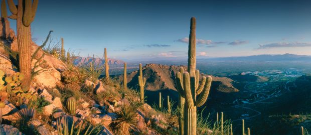 Dove Mountain, Sonoran Spectacle & Serenity, Tucson / Marana / Oro Valley / AZ