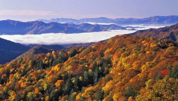 The Great Smoky Mountains, TN