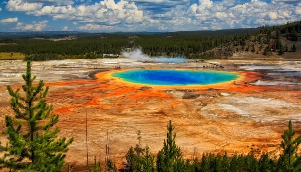 Amazing Yellowstone